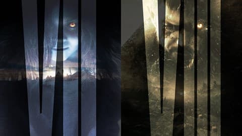 Resident Evil 7 Gold Edition & Village